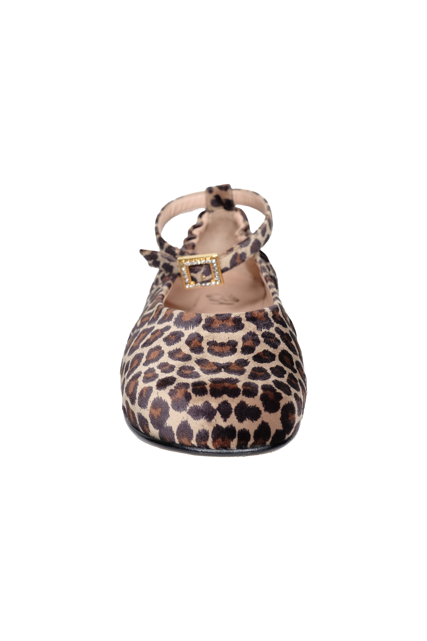 Lise ballerina in velluto con cinturino alla caviglia e fibbia in strass